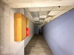 Lucky Plaza (D9), Retail #576200441